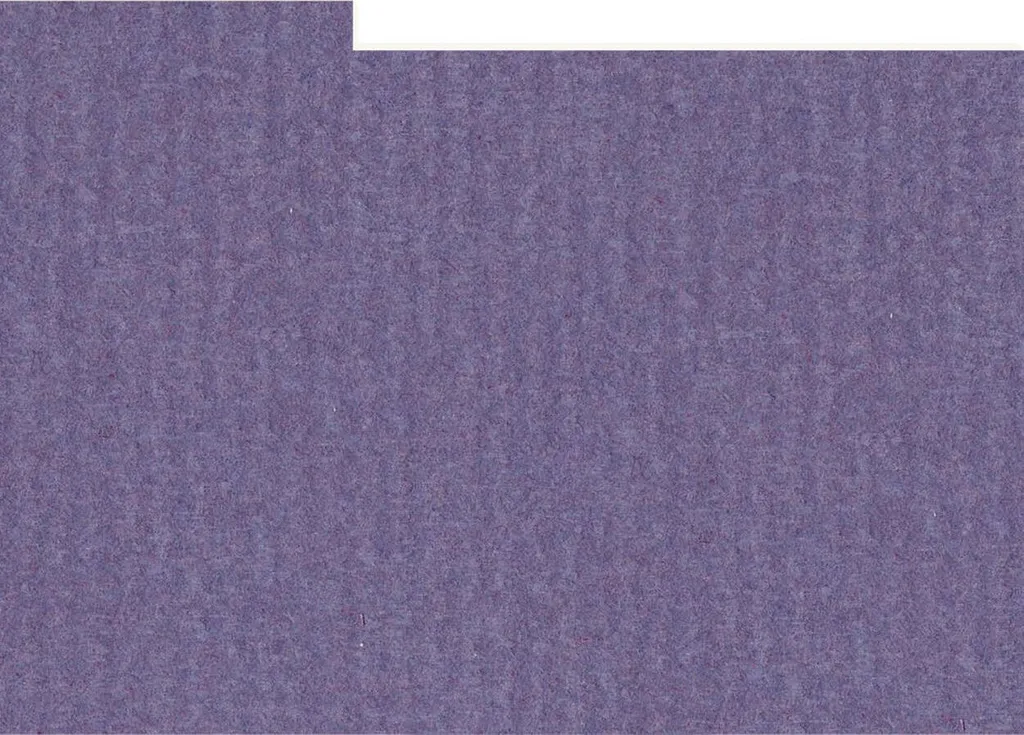 Séparateurs rigides lilas foncé pour bac photo 13x18 cm - Lot de 12