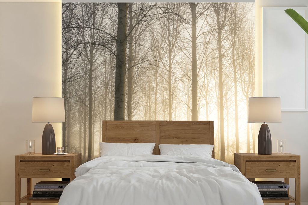 MuchoWow Fototapete für Wohnzimmer oder Schlafzimmer Wandtapete Vinyl Motivtapete Wald - Sonne - Nebel - 350x350 cm - Schlafzimmertapete