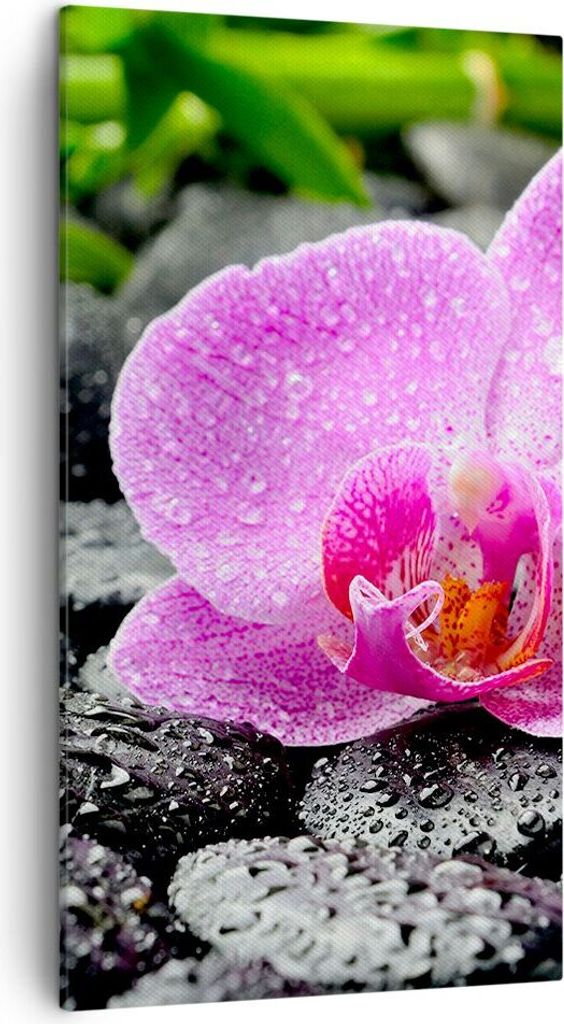 Bild auf Leinwand - Leinwandbild - Asien bambus schönheit kultur - 45x80cm - Wand Bild - Wanddeko - Leinwanddruck - Bilder - Kunstdruck - Wanddeko...