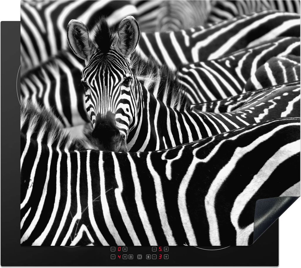KitchenYeah Herdabdeckplatte Zebra schwarz-weiß Fotodruck , 57x51cm, Küche Deko, Glaskeramikkochfeld Herdabdeckung, Abdeckplatte fùr Kochfeld