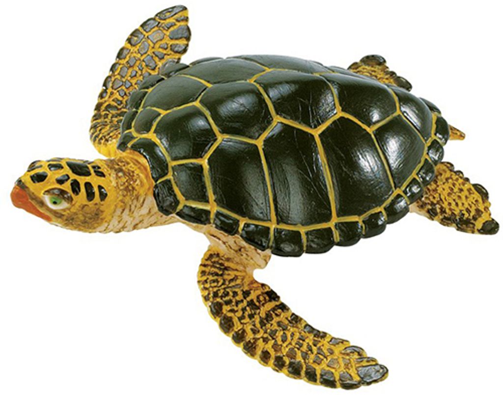 Safari 2743-29 - Meeresschildkröte
