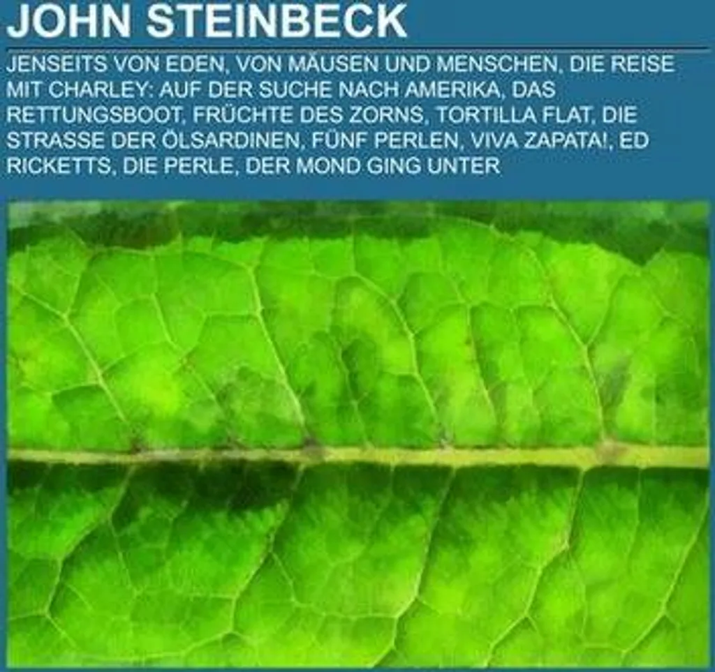 John Steinbeck Œuvres Complètes Collection de Romans Classiques en Relié
