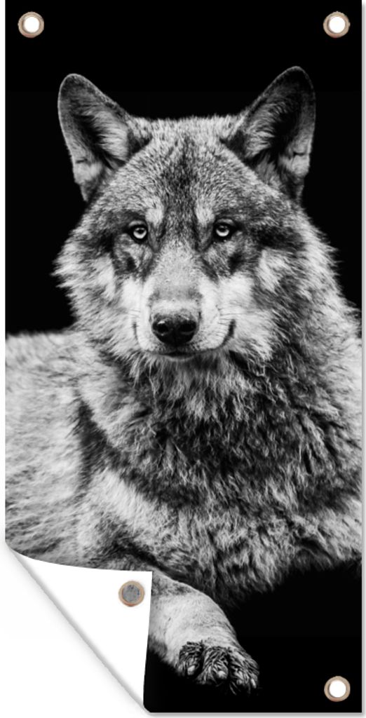 MuchoWow 30x60 cm Outdoor-Poster Gartendeko Sichtschutz Garten Poster für den Garten Wildlife - Wolf - Schwarz - Weiß