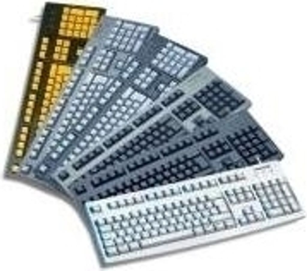 Cherry Classic Line G83-6105 - Tastatur - 105 Tasten QWERTY - Grau
