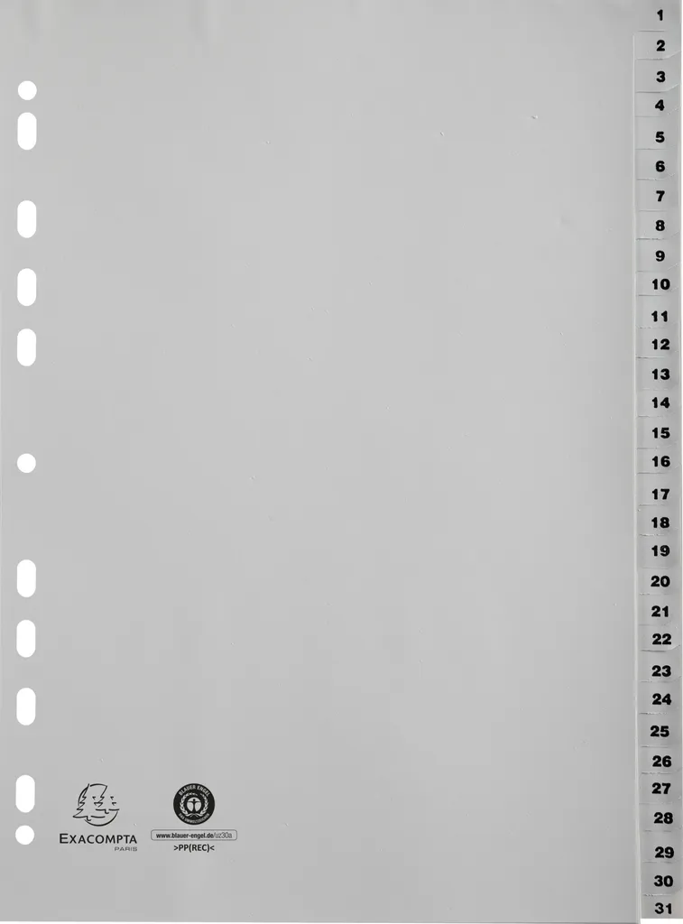 Exacompta 20x Intercalaires PP recyclé Gris A4 31 positions 1931E