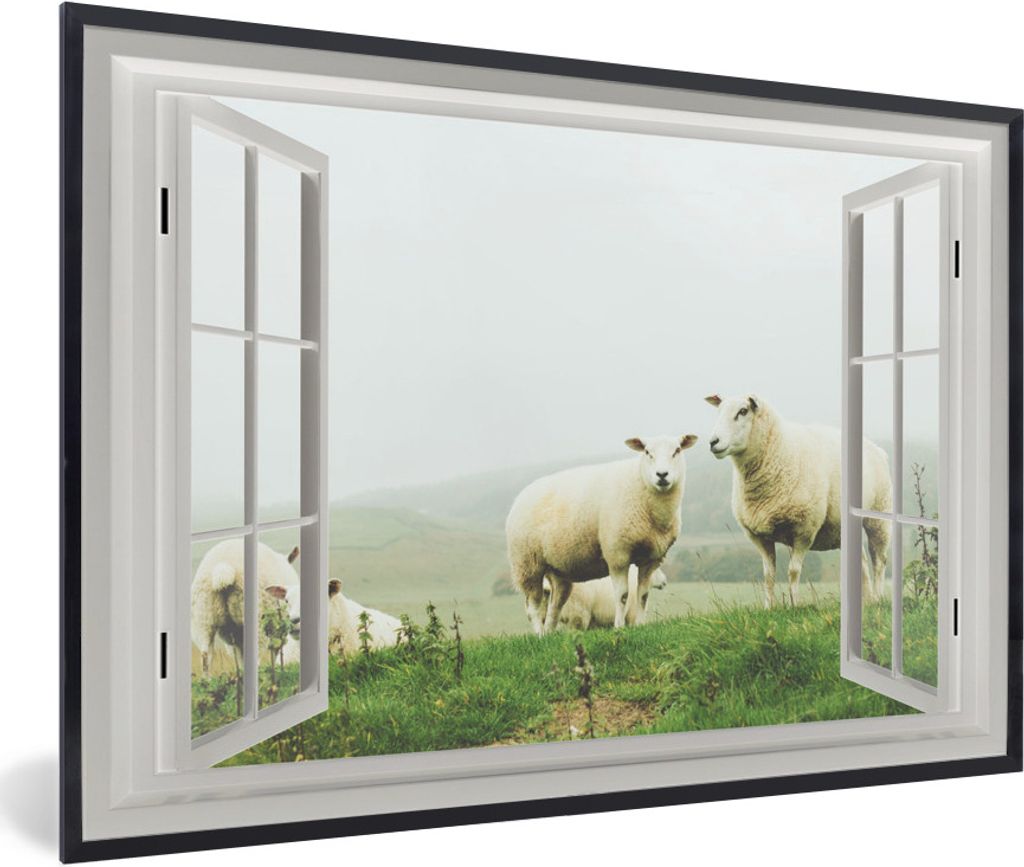 MuchoWow MuchoWow Gerahmtes Poster Durchblick - Gras - Schafe 30x20 cm - Poster mit zchwarzem Bilderrahmen - Kunstdruck - Bild-Poster