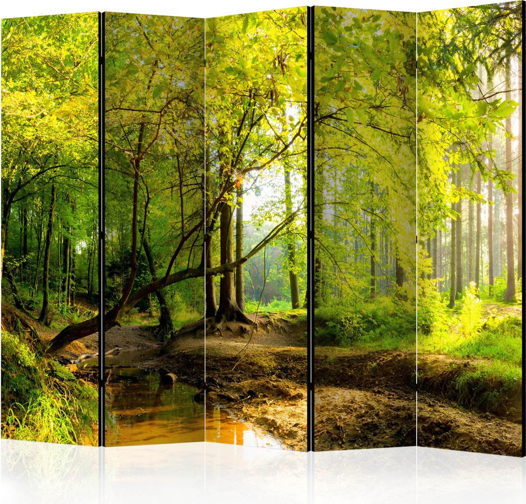 5-teiliger Doppelseitiger Vlies Paravent - Forest Clearing II 225x172 cm Landschaften c-B-0354-z-c