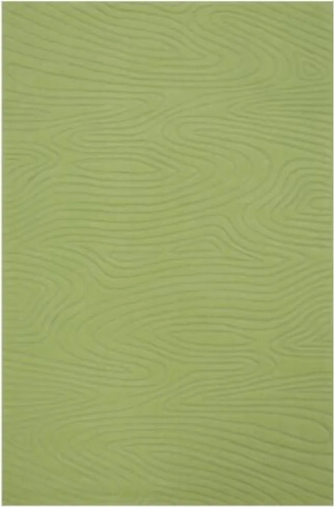 Tapis Zen 1048-07 vert 70x140 cm : finissez-en avec les sols mouillés