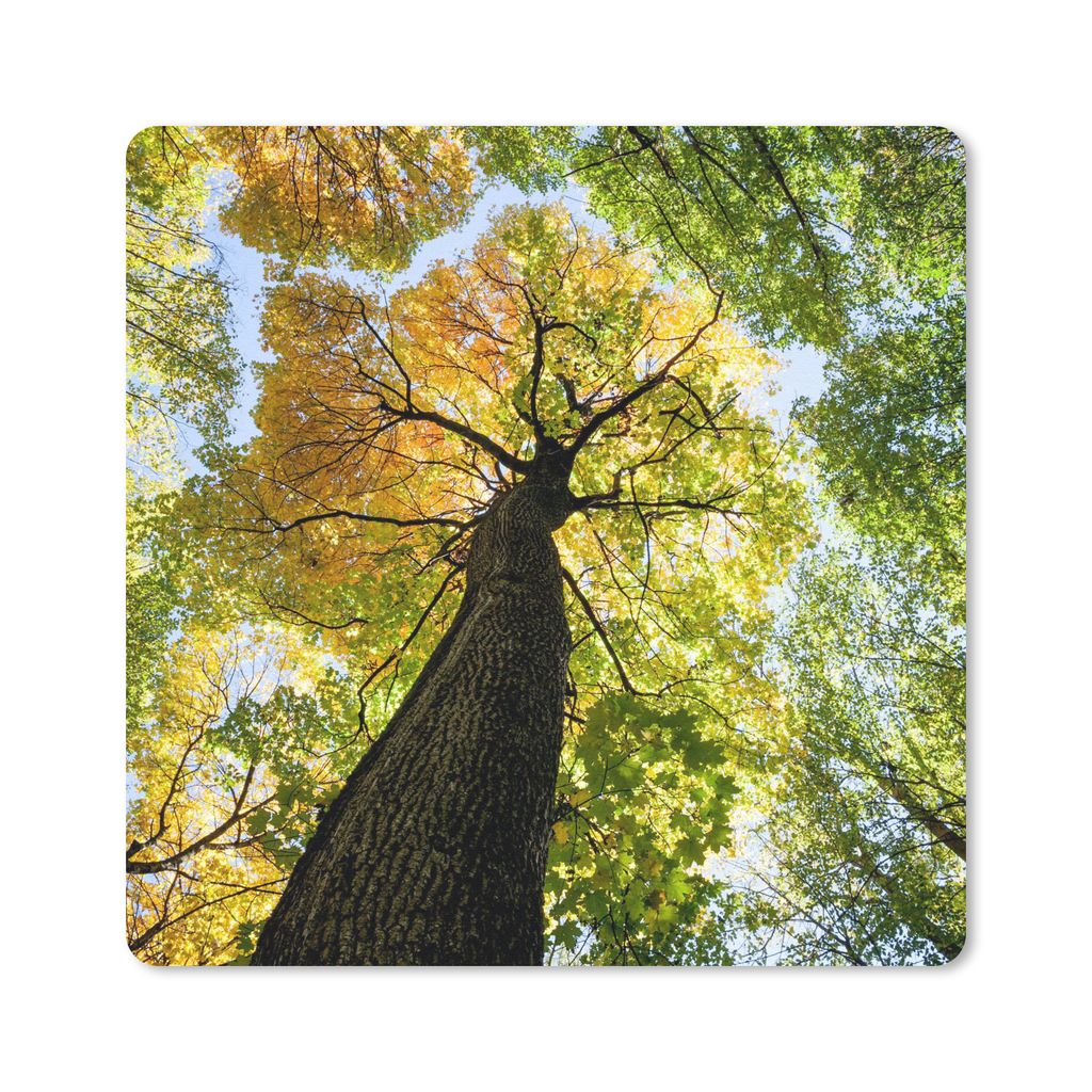MuchoWow Mauspad Mousepad Baum - Natur - Wald 30x30 cm - Mousepads - Maus Mat - Pad - Mausunterlage - Gaming