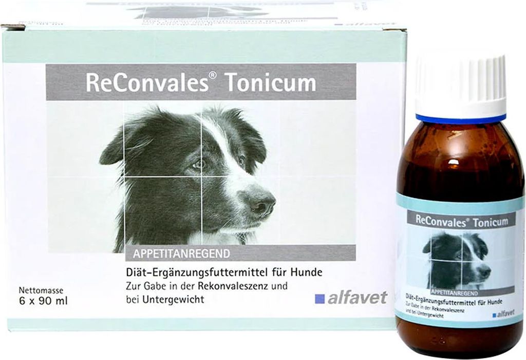 Reconvales Tonicum für Hunde 6X90 ml