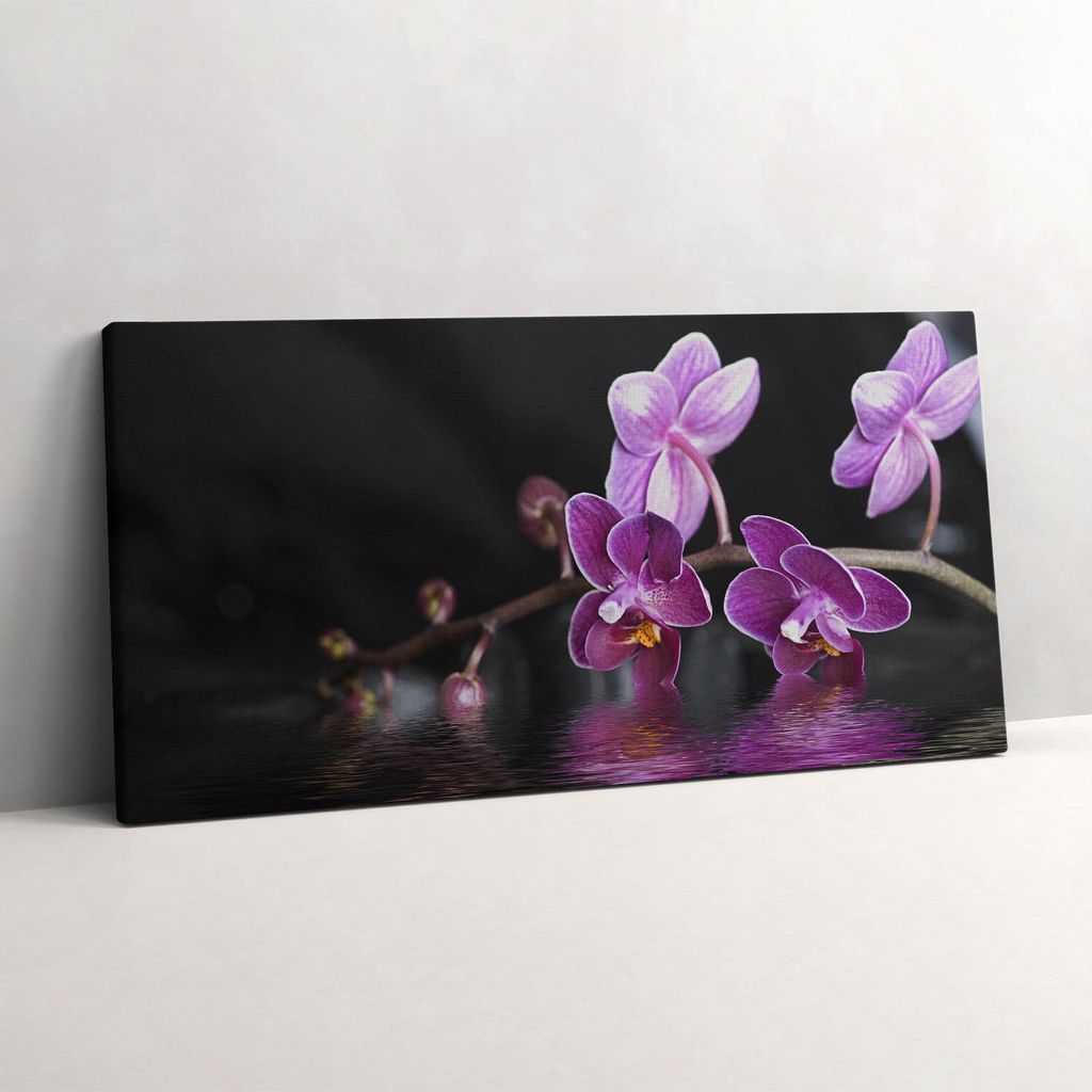 Rosa Orchideenblüte auf dem Wasser – Leinwandbild Wandbild – 100x50 cm – Leinwandbilder – Wandbilder – Schlafzimmer – Flur