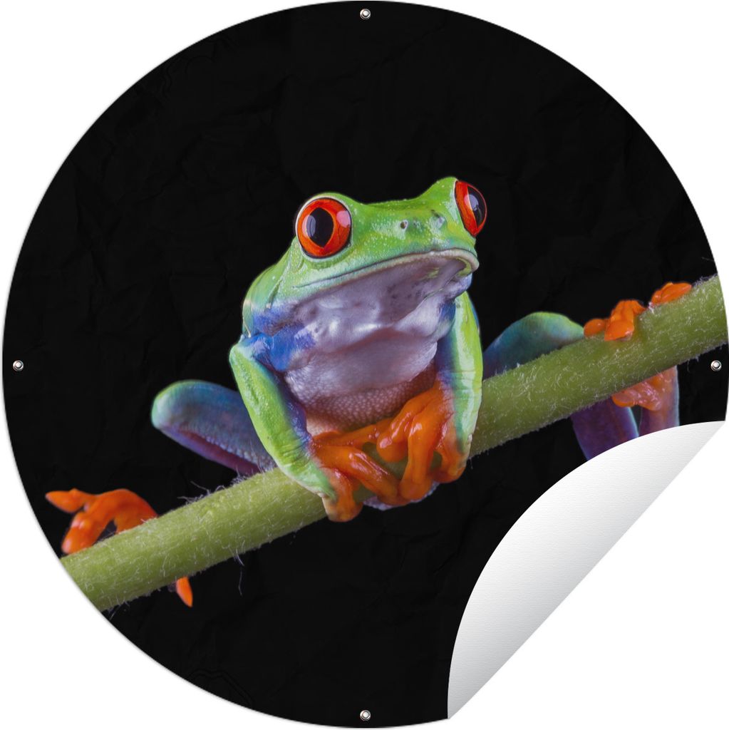 MuchoWow Gartenposter Outdoor-Poster Rund Frosch - Bambus - Schwarz Ø 120 cm Gartendeko Rundes Poster draußen