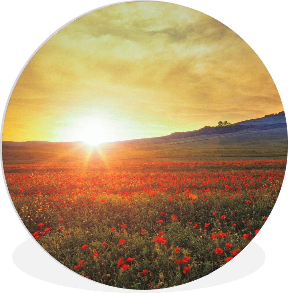MuchoWow Rundes Wandbild - Runde Bilder Italien - Sonnenuntergang - Mohnblume Ø 30 cm Kreis Wanddekoration Kunststoff - Wandkreis - Wandschmuck ...
