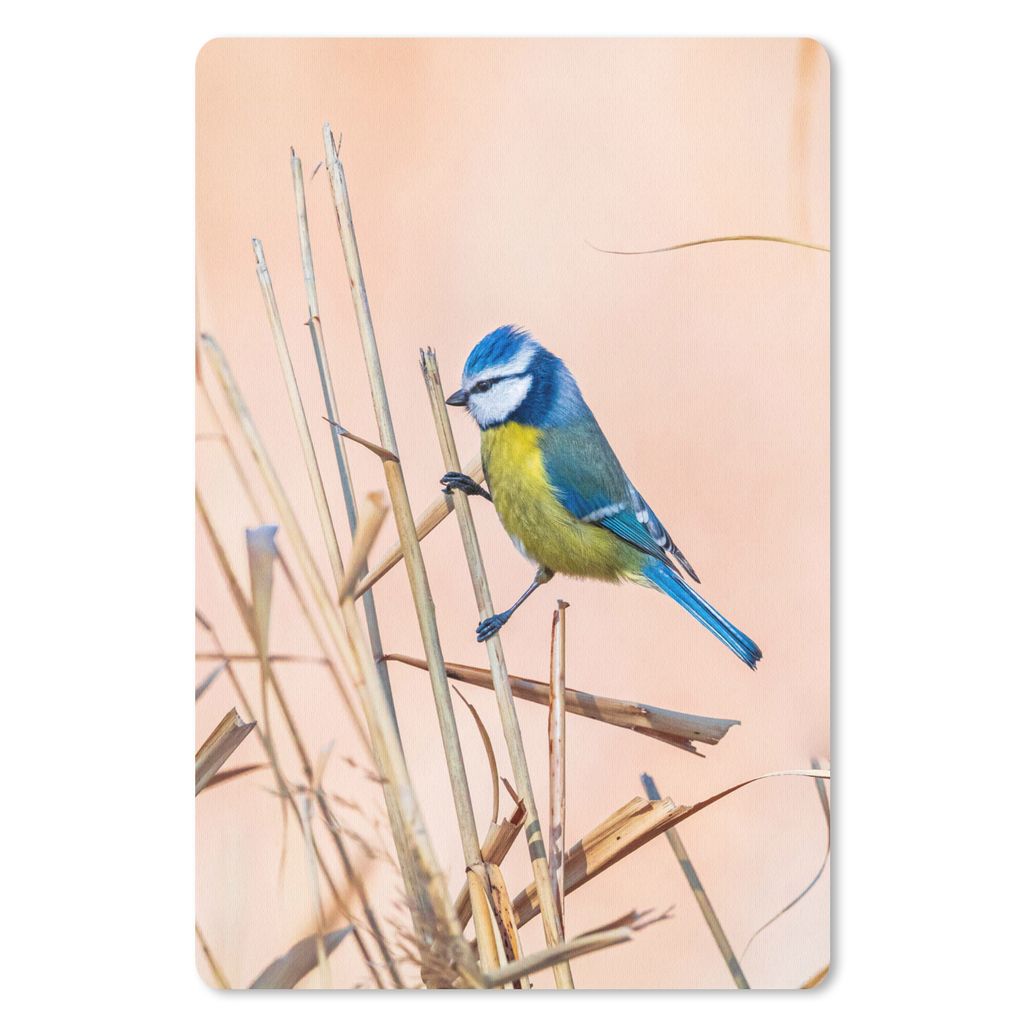 MuchoWow Mauspad Mousepad Vogel - Blaumeise - Schilf 18x27 cm - Mousepads - Maus Mat - Pad - Mausunterlage