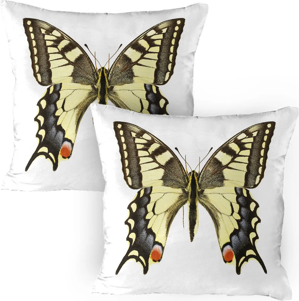 ABAKUHAUS Federa per cuscino con motivo a farfalla swallowtail Confezione da 2, Papilio Machaon giallo del Vecchio Mondo Swallowtail - fauna selvatica Biologia, Federa per cuscino decorativa stampata, 80x80 cm, giallo marrone nero