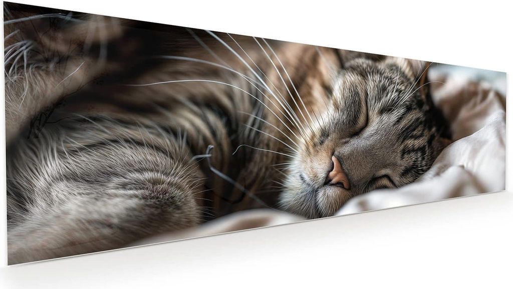 Glasbild 120x40cm in XXL für Wohnzimmer, Schlafzimmer Motiv Schlafende Katze