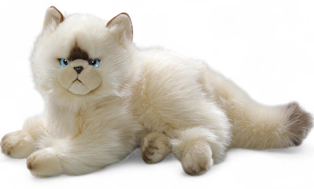 Carl Dick Chat, chat persan Chocolate Point env. 30cm 3201 Image du produit 