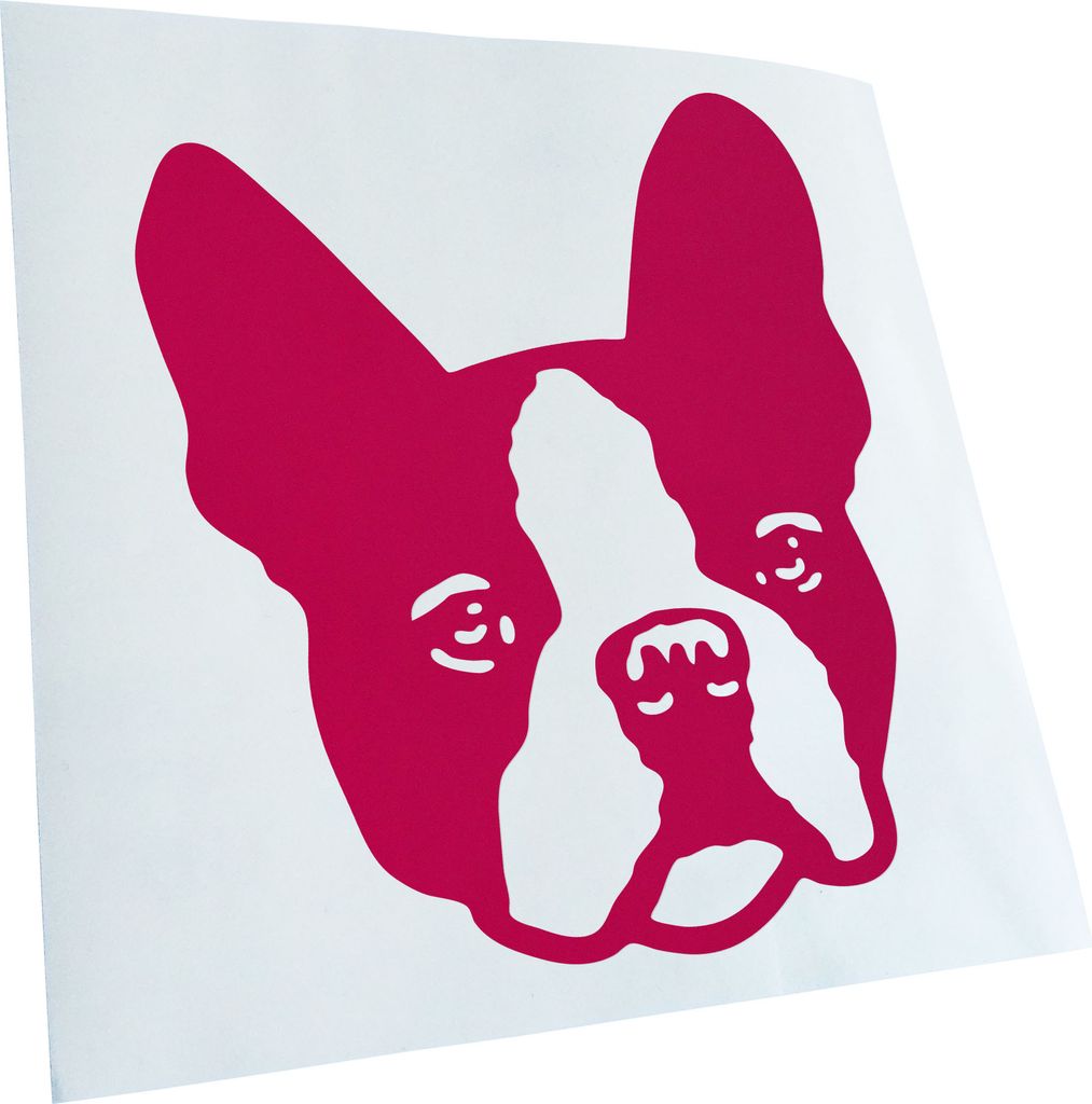 Kiwistar - Autoaufkleber - Boston Terrier Hund - Pink - 40x33cm - Aufkleber für Auto, Laptop, Fahrrad, LKW, Motorrad mehrfarbig JDM Decal Racing