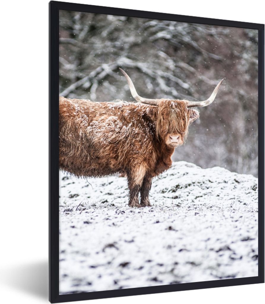 MuchoWow Gerahmtes Poster Schottischer Highlander - Baum - Schnee 30x40 cm - Poster mit Schwarzem Bilderrahmen Wandposter Rahmen Foto Bilder - Wa...