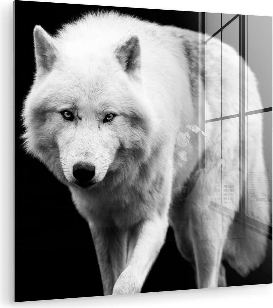 MuchoWow Glasbilder - Bilder auf Wandbild - Foto auf Glas Wolf - Tier - Schwarz - Weiß 50x50 cm Wanddekoration aus Glas - Acrylglasbild - Acrylbil...