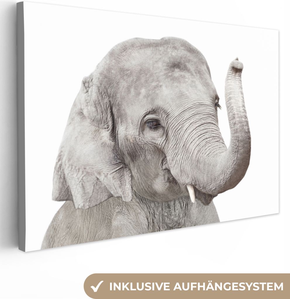 OneMillionCanvasses - Leinwandbilder - 150x100 cm, Elefant - Tiere - Grau - Natur, Wandbilder Kunstdruck Wanddekoration - Foto auf Leinwand - Gem...