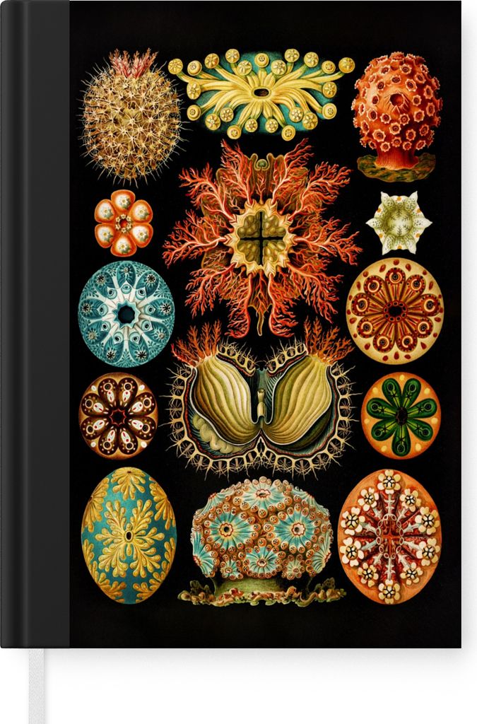 MuchoWow Notizbuch Tagebuch Haushaltsbuch Notebook A5 Vintage - Ernst Haeckel - Meerestier - Natur - Meer - Kunst - Notizblock - Notizheft - Note...