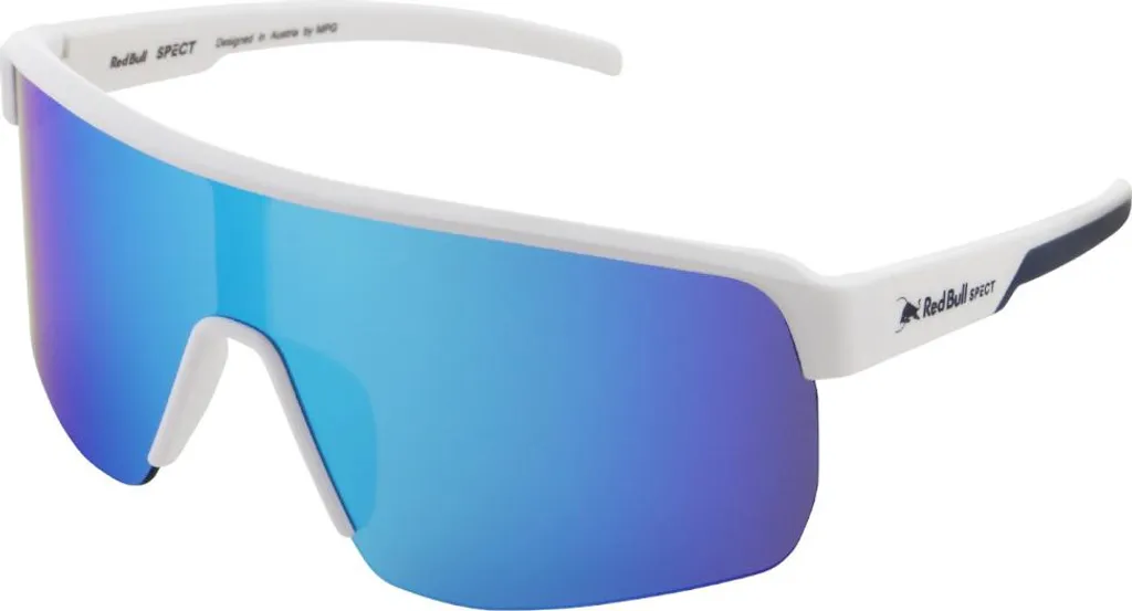 Lunettes RedBull SPECT DAKOTA Masque de Ski Adulte Visière Rectangulaire