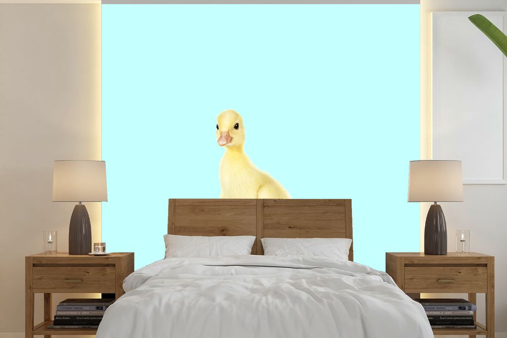 MuchoWow Fototapete für Wohnzimmer oder Schlafzimmer Wandtapete Vinyl Motivtapete Ente - Küken - Skateboard - Blau - Rosa - 220x220 cm - Tapeten