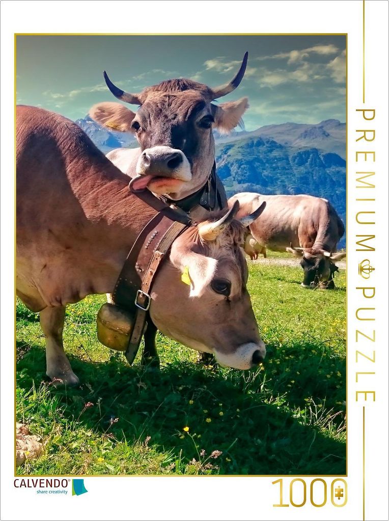 CALVENDO Puzzle Bergkühe | 1000 Teile Lege-Größe 64x48cm Foto-Puzzle für glückliche Stunden