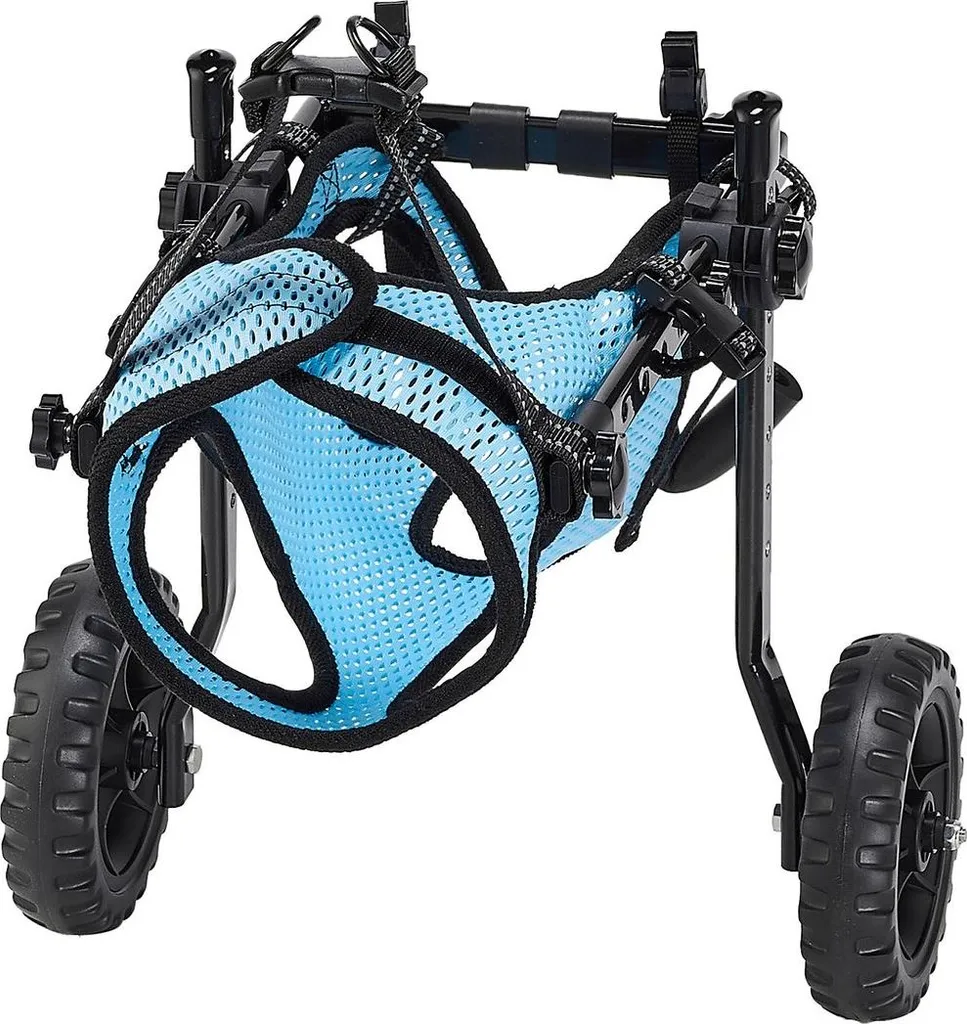 Carrozzina per cani per zampe posteriori, carrozzina per animali domestici regolabile a 2 ruote, carrozzina leggera per cani con ruote ammortizzanti, carrozzina di supporto alla mobilità per cani disabili o feriti fino a 10 kg, piccola - 10