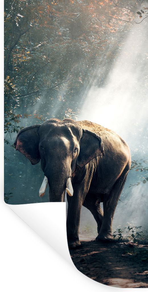 MuchoWow Wandtattoo Wandsticker Wandaufkleber Elefant - Tiere - Licht - Wald - Natur - Wildtiere 60x120 cm Selbstklebend und Repositionierbar - S...