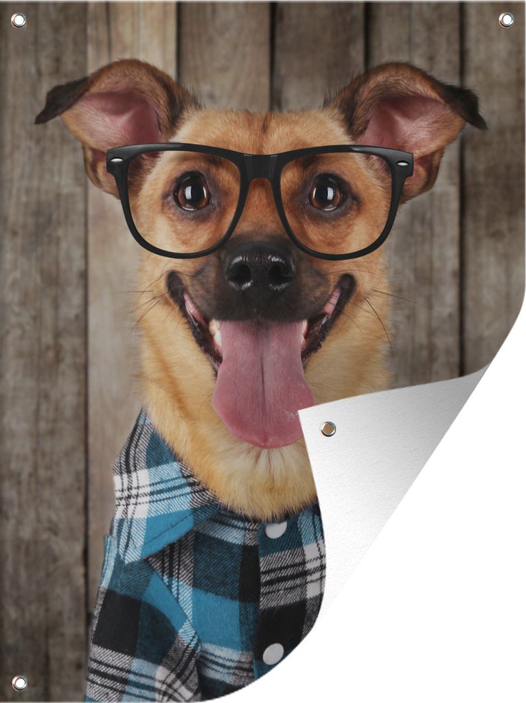 MuchoWow 30x40 cm Outdoor-Poster Gartendeko Sichtschutz Garten Poster für den Garten Hund - Brille - Bluse - Hipster