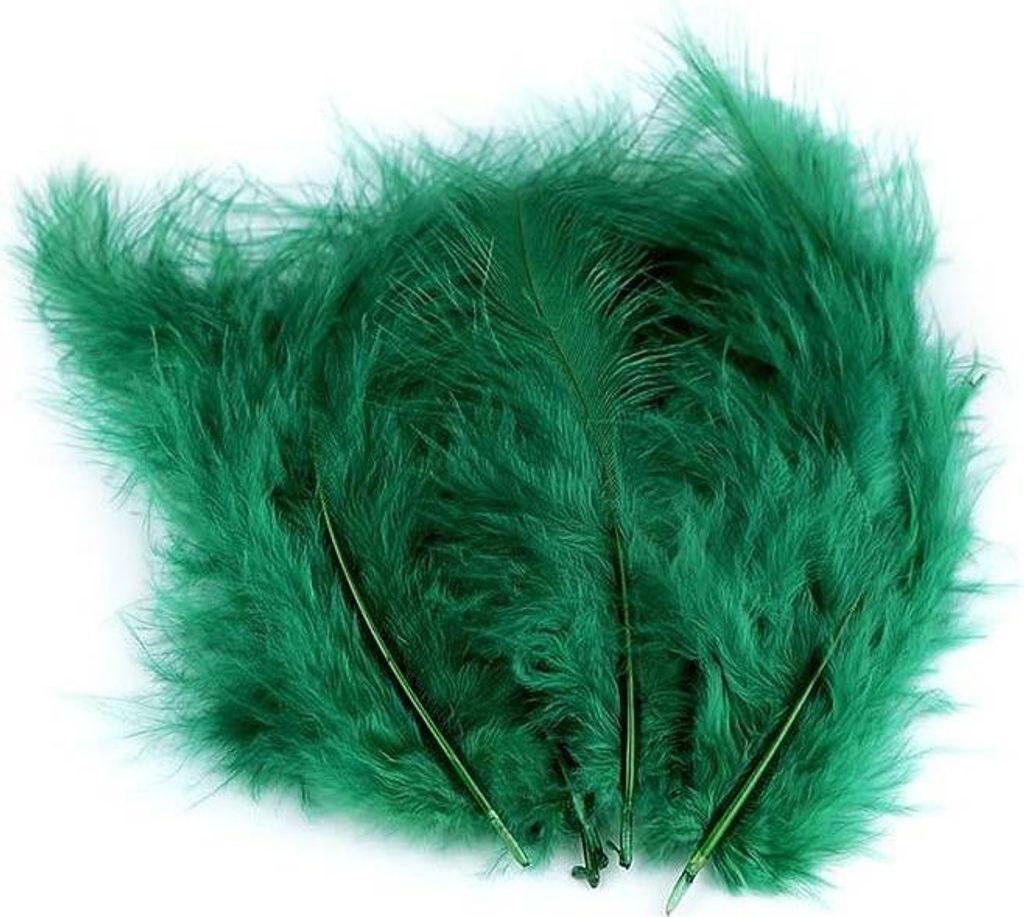 Piume di struzzo verdi 9-16 cm Immagine del prodotto 