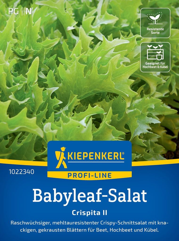 Kiepenkerl Babyleaf-Salatsamen Crispita II Lactuca sativa 1-2 m²
