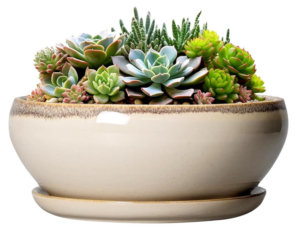 Sukkulententententöpfe 20,3 cm – Bonsai-Töpfe aus Keramik für Zimmerpflanzen, runder flacher Blumentopf mit Ablaufloch und Untersetzer, Schale...