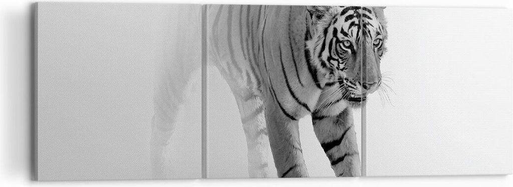 Bild auf Leinwand - Leinwandbild - 3 Teile - Tiger Monochrom Porträt - 120x40cm - Wand Bild - Wanddeko - Wandbilder - Leinwanddruck - Bilder - Wan...