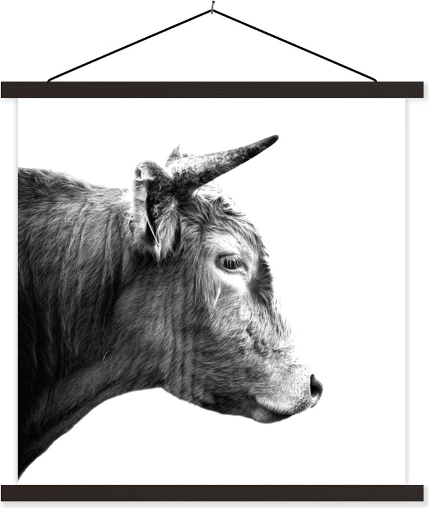 MuchoWow Textilposter Schottisches Hochlandrind - Horn - Schwarz - Weiß 60x60 cm mit schwarzem Rahmen - Posteraufhänger