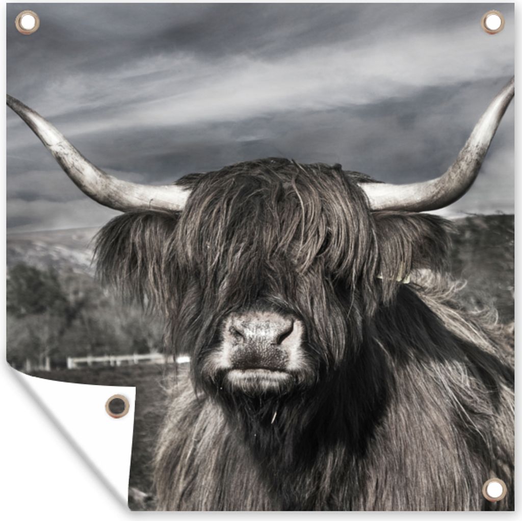 MuchoWow 50x50 cm Outdoor-Poster Gartendeko Sichtschutz Garten Poster für den Garten Schottischer Hochländer - Porträt - Schwarz - Weiß - Tie...