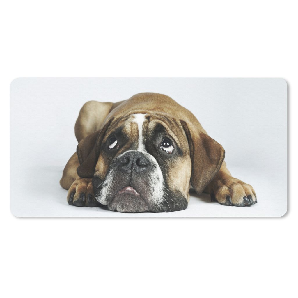 MuchoWow Schreibtischunterlage Hund - Haustiere - Weiß 80x40 cm - XXL Mauspad - Gaming Mauspad