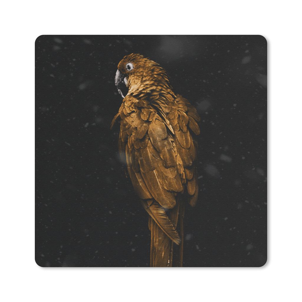 MuchoWow Mauspad Mousepad Papagei - Gold - Schwarz 30x30 cm - Mousepads - Maus Mat - Pad - Mausunterlage - Gaming