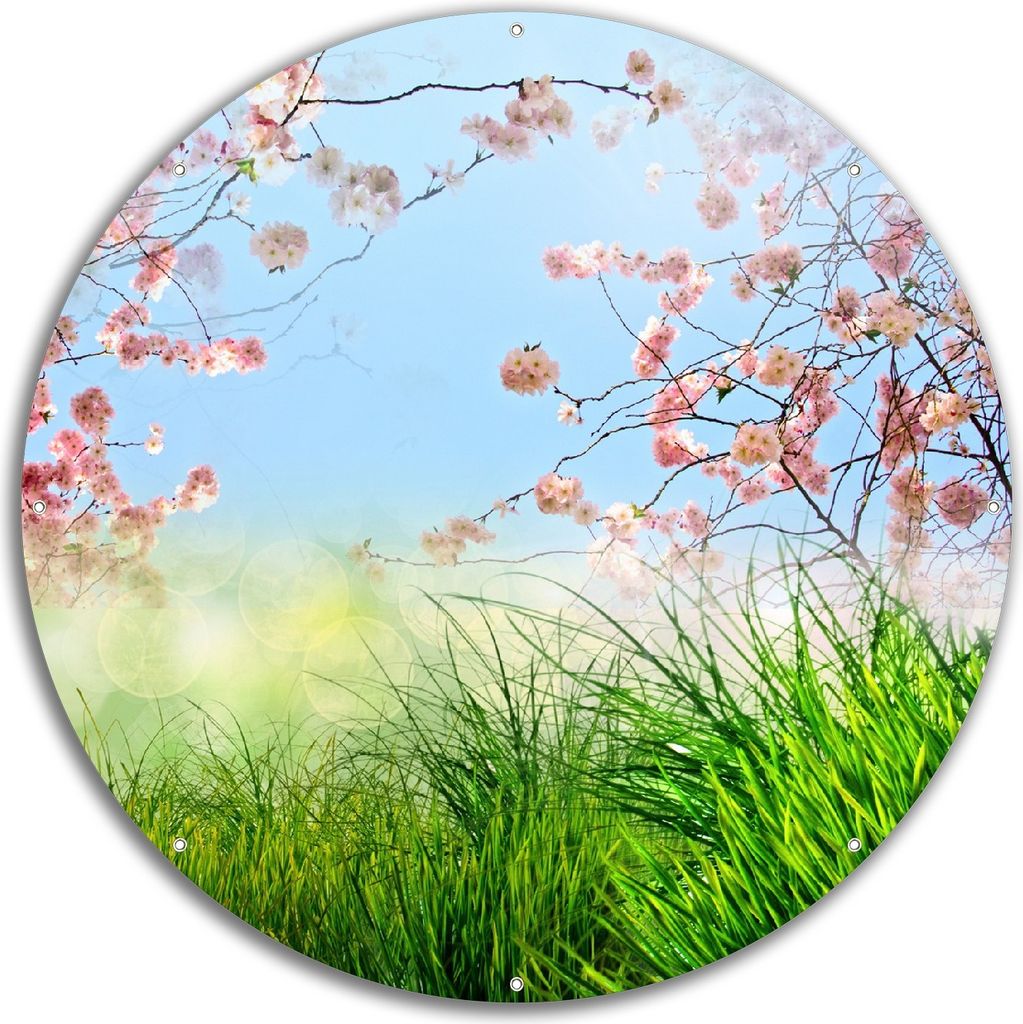 Wallario rundes Outdoor-Poster für Garten oder Balkon, Motiv Kirschblütenzweige und grüne Wiese- Frühling, 60 cm Durchmesser