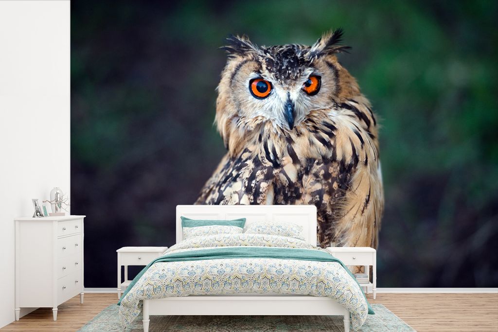 MuchoWow Fototapete für Wohnzimmer oder Schlafzimmer Wandtapete Vinyl Motivtapete Eule - 390x260 cm - Papiertapete