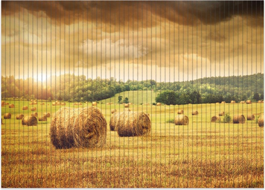 Wallario Duschmatte Antirutschmatte Badmatte Fußmatte Strohballen auf dem Feld bei Sonnenuntergang, Größe ca. 70 x 50 cm