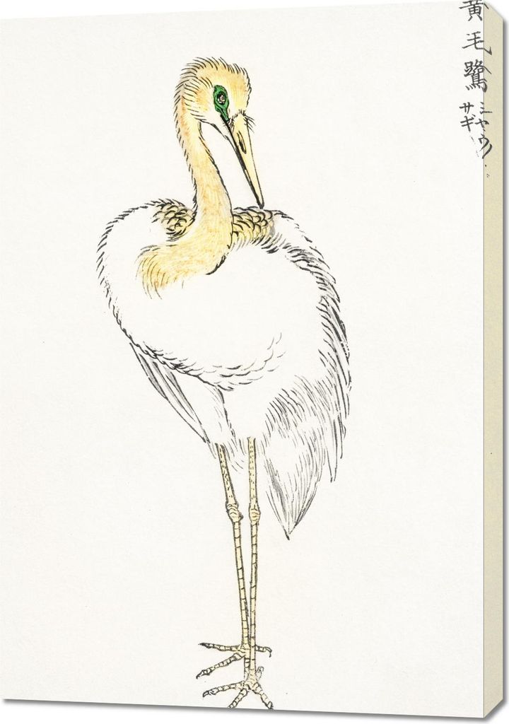 Bild 70x100cm Great White Egret, Japanische Kashu Vintage