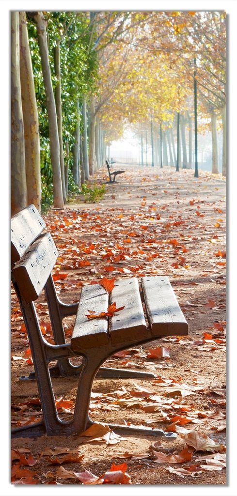 Wallario selbstklebende Türtapete 93 x 205 cm - Einsame Parkbank an einer Allee - Herbststimmung - Abwischbar, rückstandsfrei zu entfernen