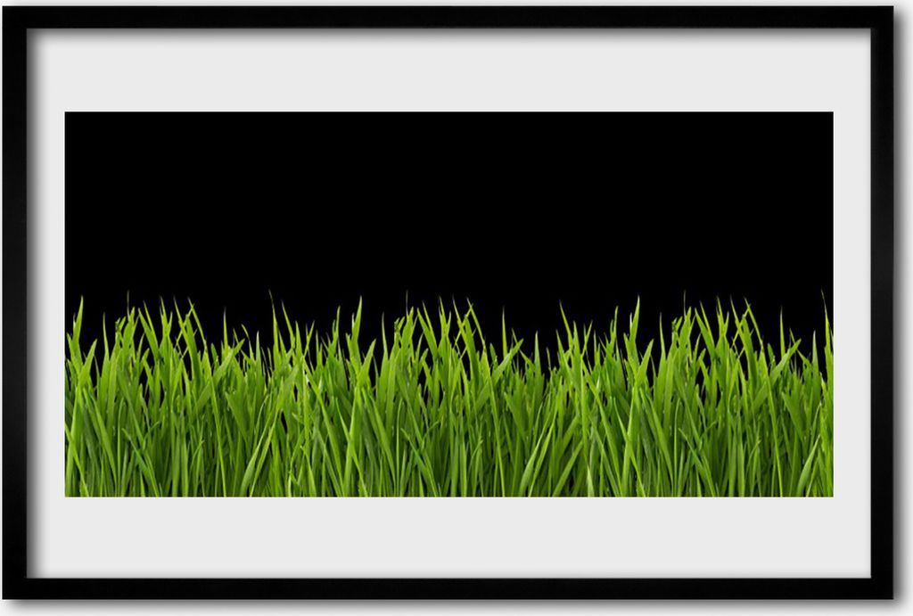 Bild 60x40 MDF-Rahmen Wandkunst Green Grass Natur