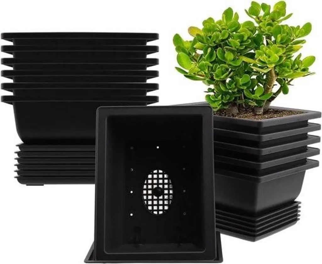 Pots à bonsaï rectangulaires avec plateaux de drainage pour le jardin