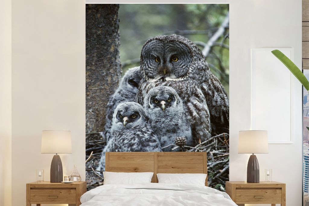 MuchoWow Fototapete für Wohnzimmer oder Schlafzimmer Wandtapete Vinyl Motivtapete Eule mit Junge im Baum - 155x240 cm - Tapete