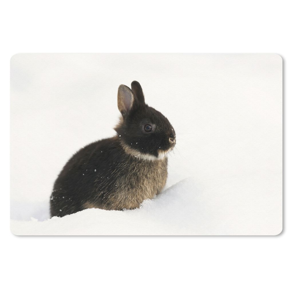 MuchoWow Schreibtischunterlage Kaninchen - Schnee - Winter 60x40 cm - XXL Mauspad - Großes Mauspad