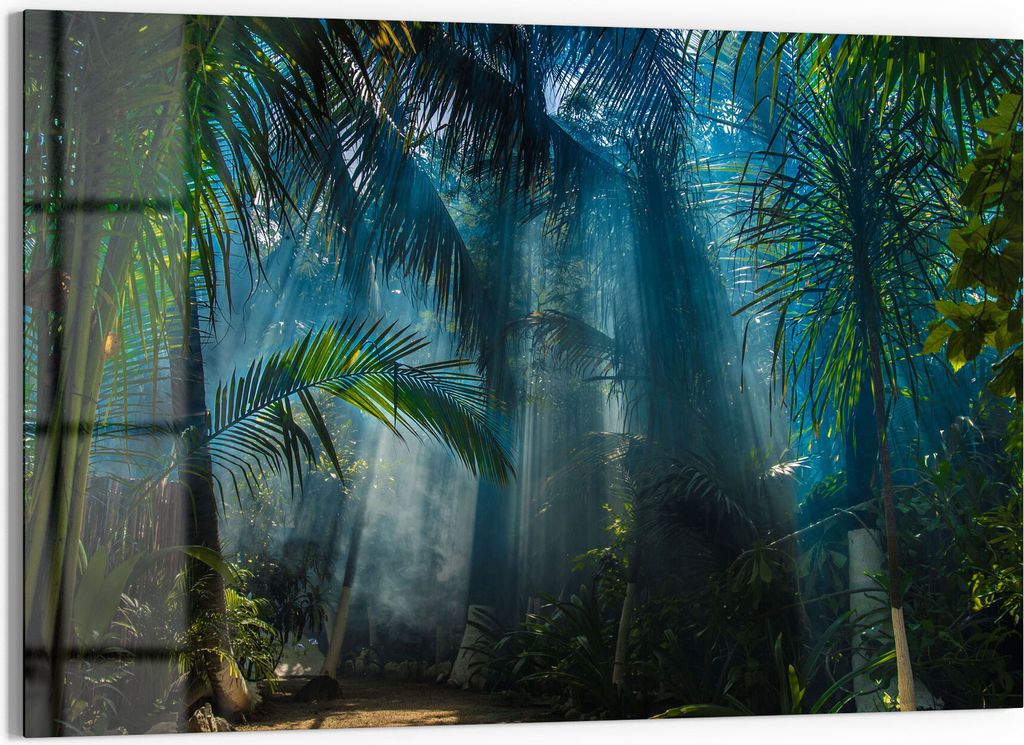 DEQORI Glasbild Echtglas 90x60 cm 'Licht durchdringt Palmen' Wandbild Bild modern Deko
